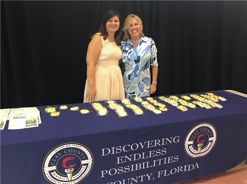 Summer Professional Development 